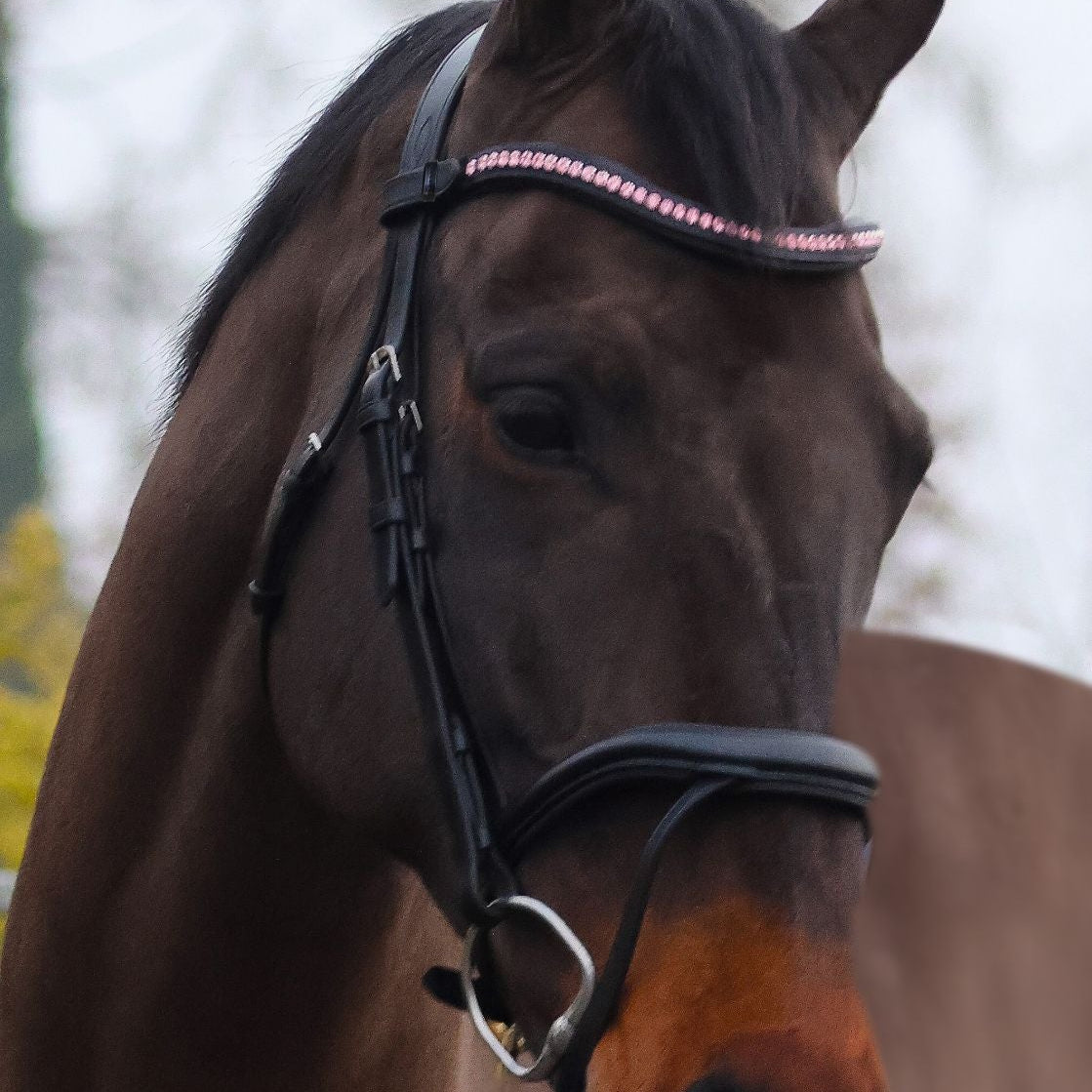 Mackey Baby Pink Sparkle Browband #colour_black