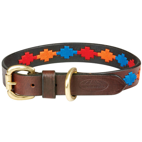 Collier pour chien en cuir Weatherbeeta Polo
