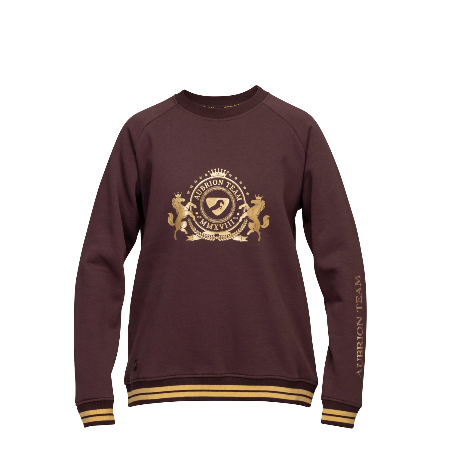 Shires Aubrion Young Rider Team Sweatshirt #colour_umber