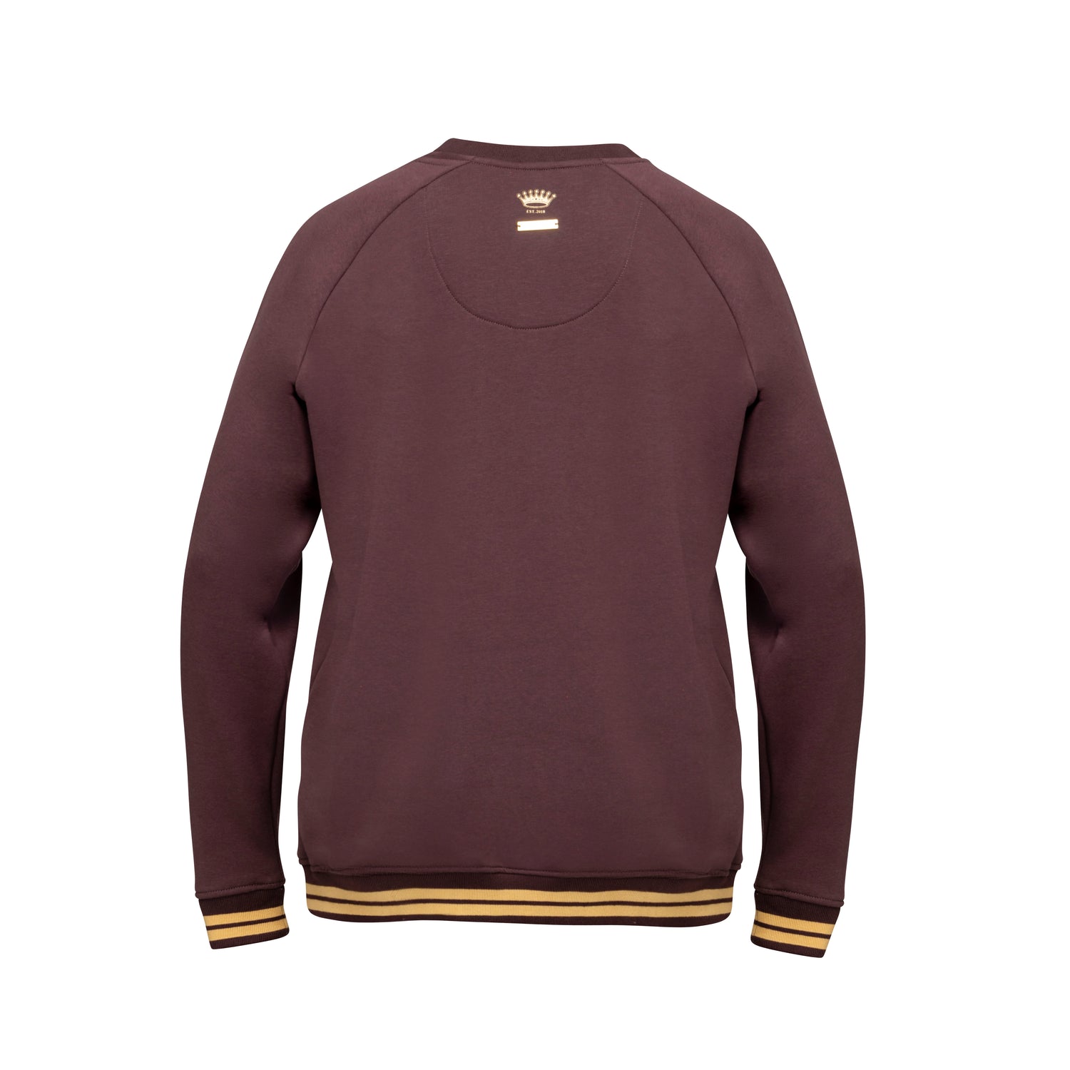 Shires Aubrion Young Rider Team Sweatshirt #colour_umber