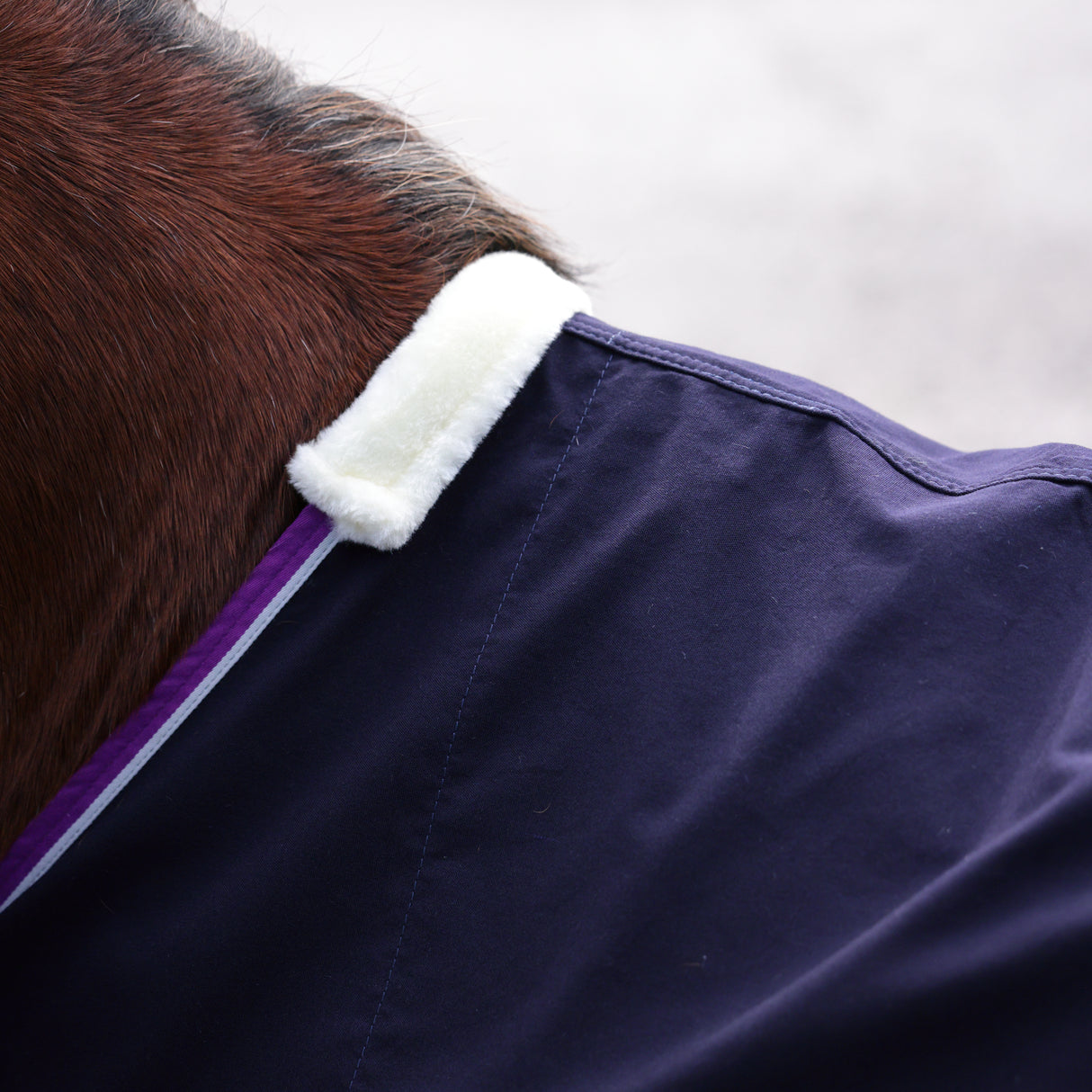 Shires Winnie & Me Stable Sheet #colour_navy