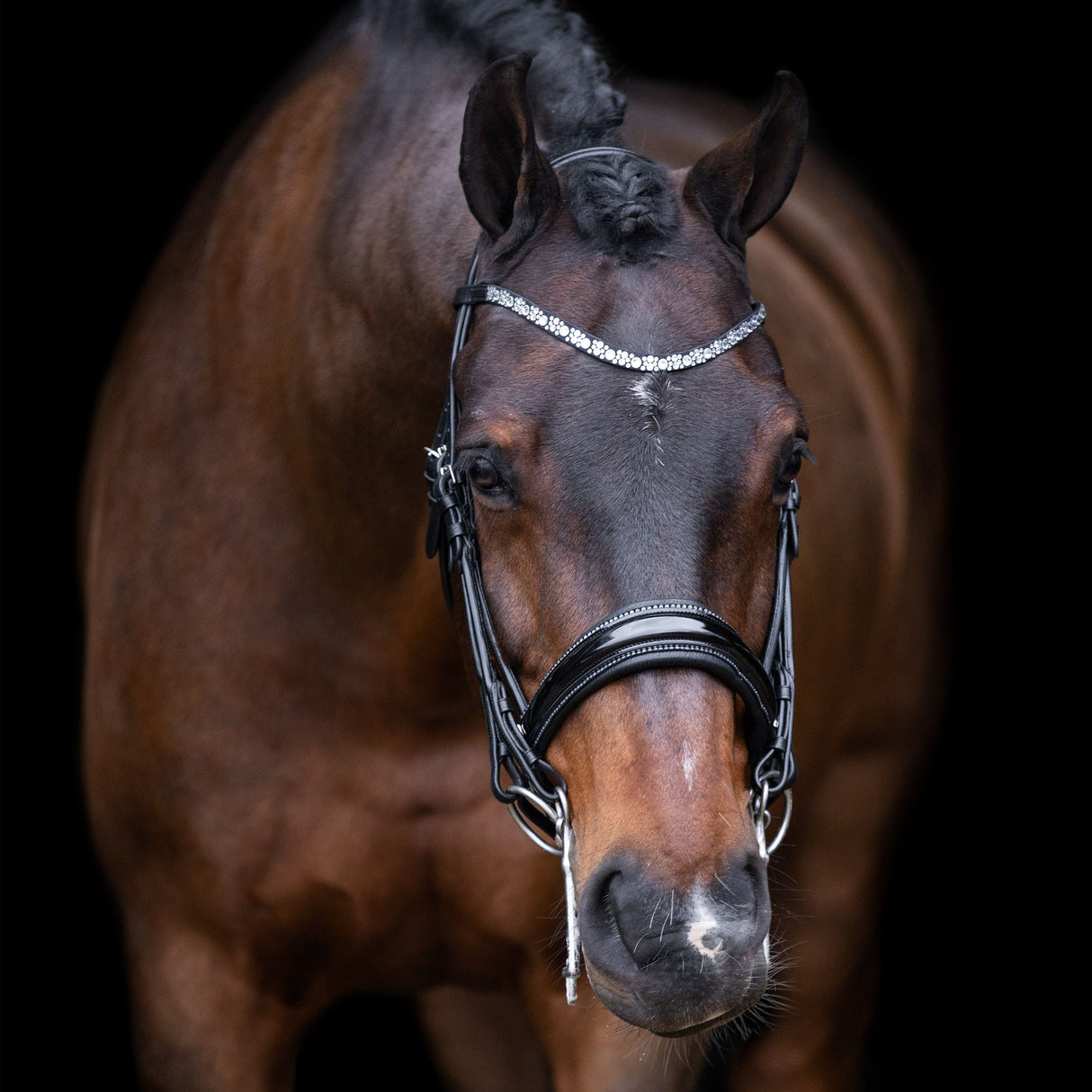 Imperial Riding Olympia Weymouth Bridle #colour_black-silver