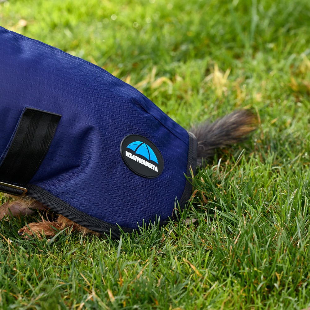 Weatherbeeta Comfitec Classic Waterproof Dog Coat #colour_navy