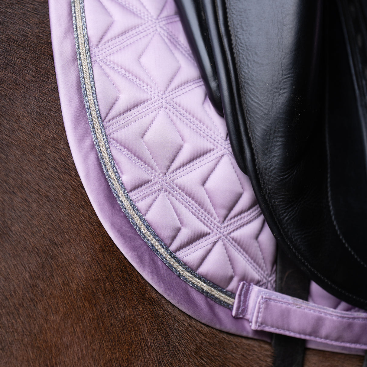 Imperial Riding Lenny GP Saddle Pad #colour_ballerina