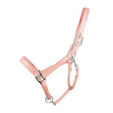 Serena Leather Head Collar by Little Rider #colour_pink
