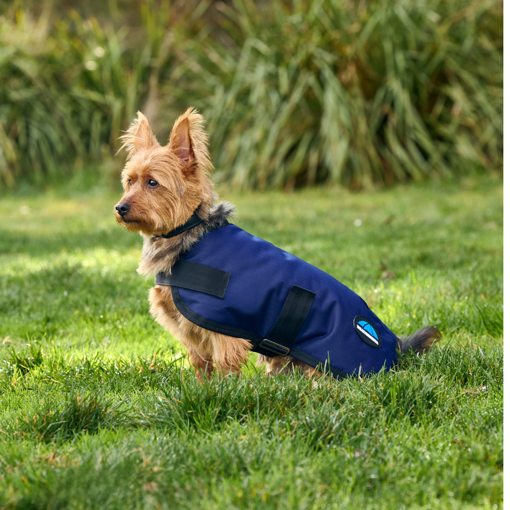 Weatherbeeta Comfitec Classic Waterproof Dog Coat #colour_navy