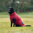 Weatherbeeta Comfitec Fleece Zip Dog Coat #colour_burgundy-navy