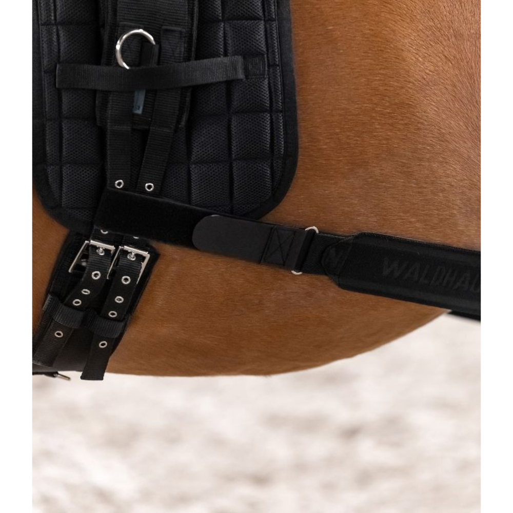 Waldhausen Body Bandage #colour_black