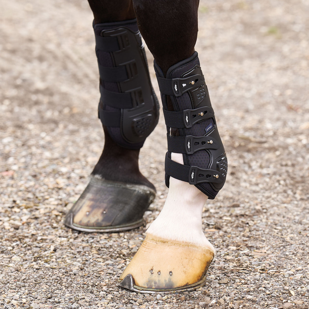 HV Polo Pro Movement Dressage Boots #colour_black