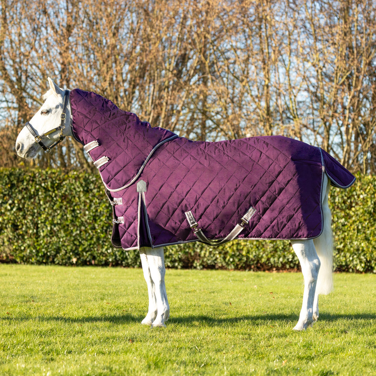DefenceX Shield 300g Stable Rug with Detachable Neck #colour_purple