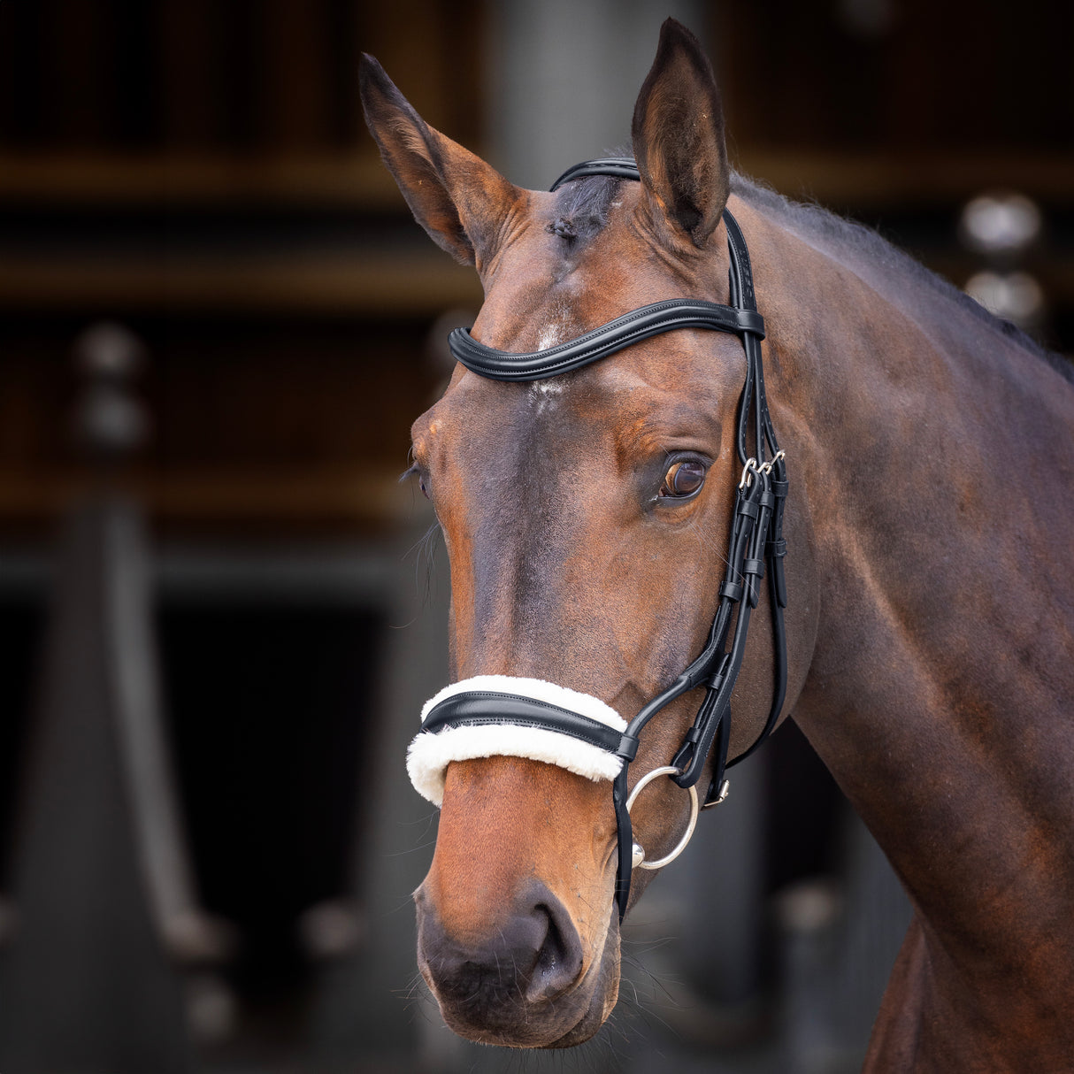 Shires Velociti Rapida Rolled Fleece Noseband #colour_black