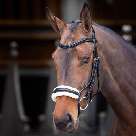 Shires Velociti Rapida Rolled Fleece Noseband #colour_black