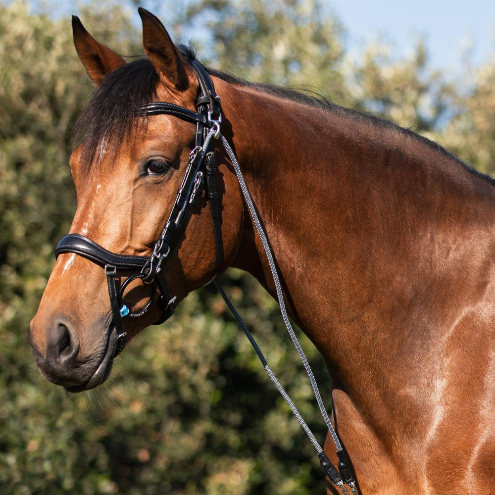 Acavallo Gogue Calfskin & Nylon #colour_black