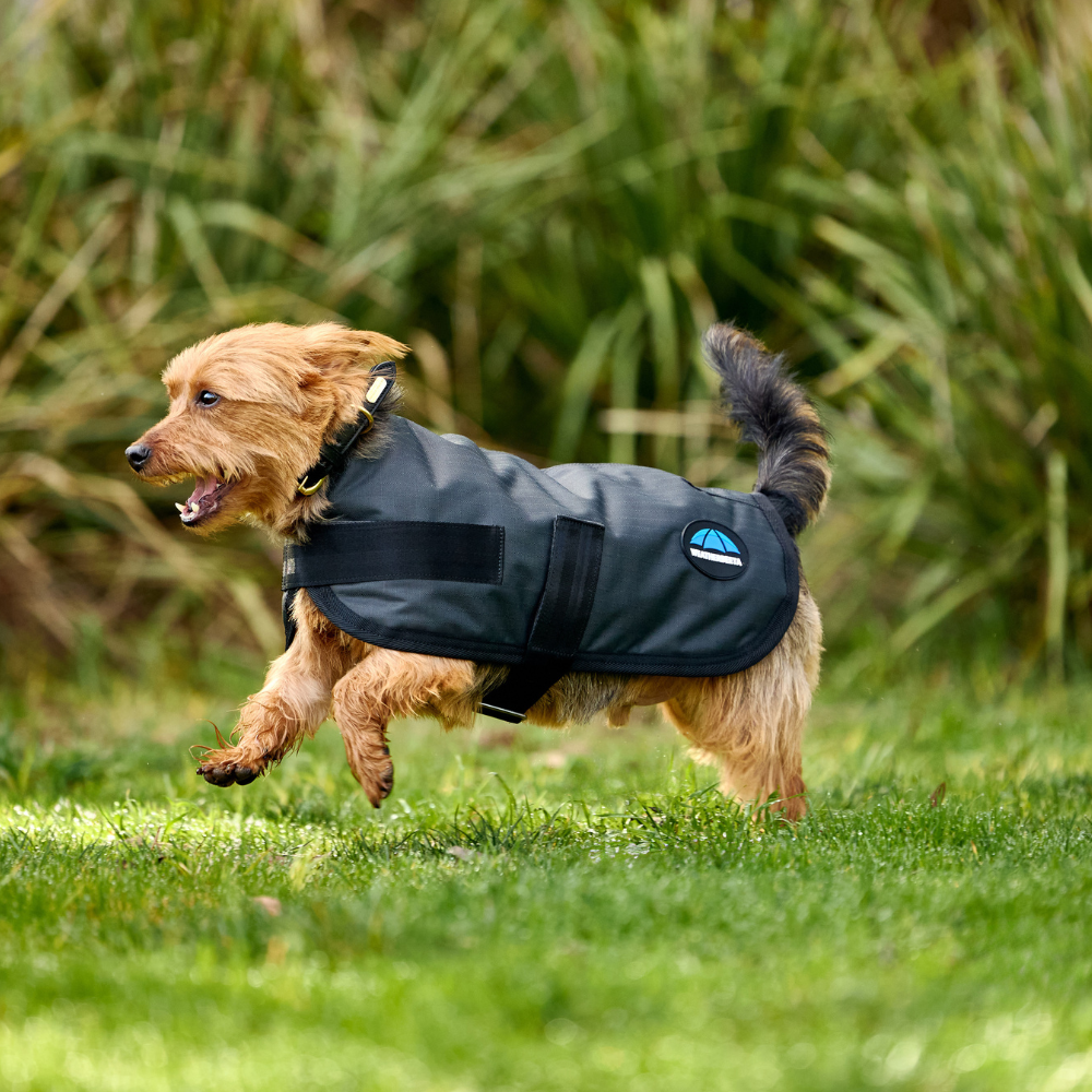 Weatherbeeta Comfitec Classic Waterproof Dog Coat #colour_grey
