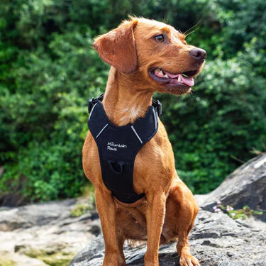 Mountain Paws Dog Harness #colour_black