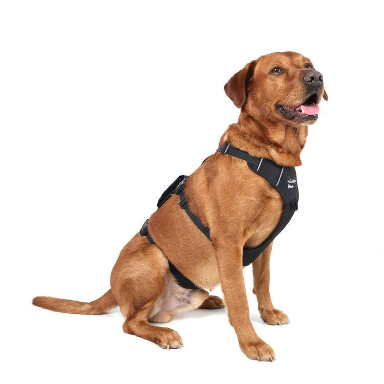 Mountain Paws 3-Strap Dog Harness #colour_black