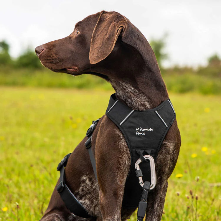 Mountain Paws 3-Strap Dog Harness #colour_black