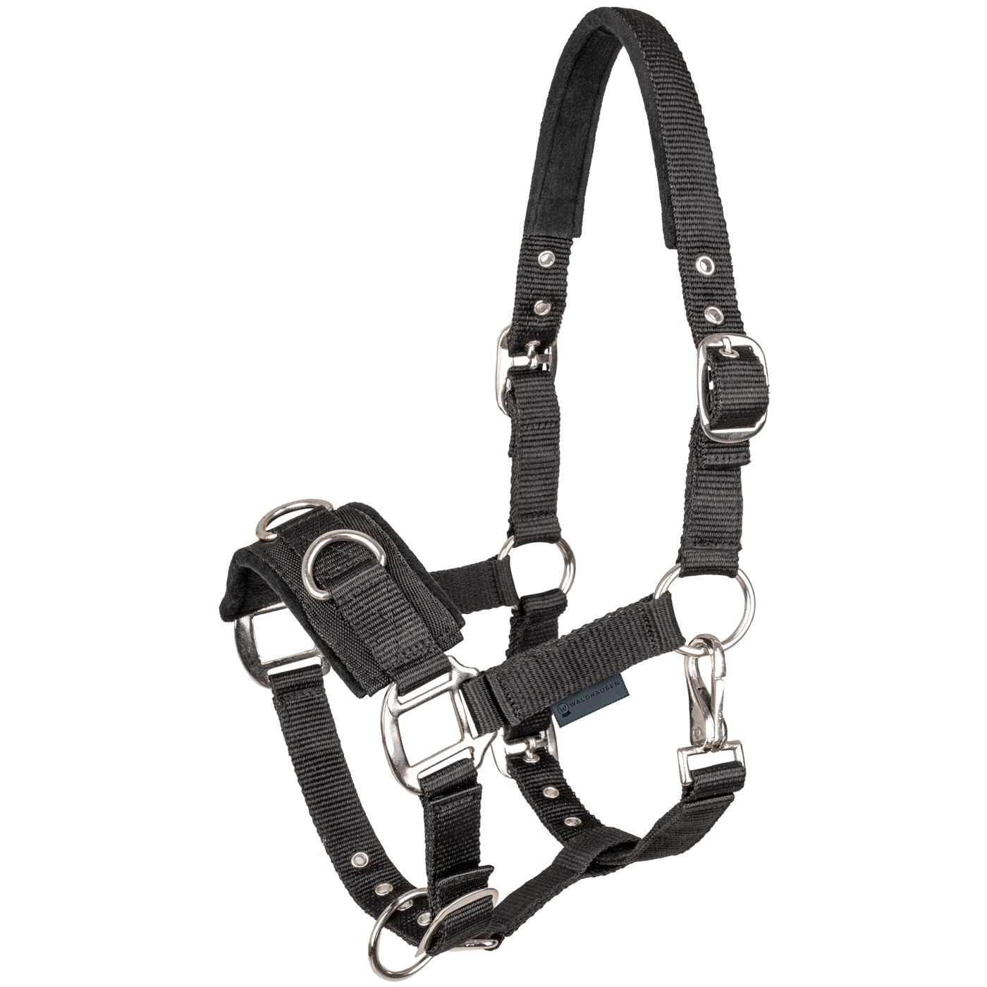 STAR Economic Lunging Halter #colour_black