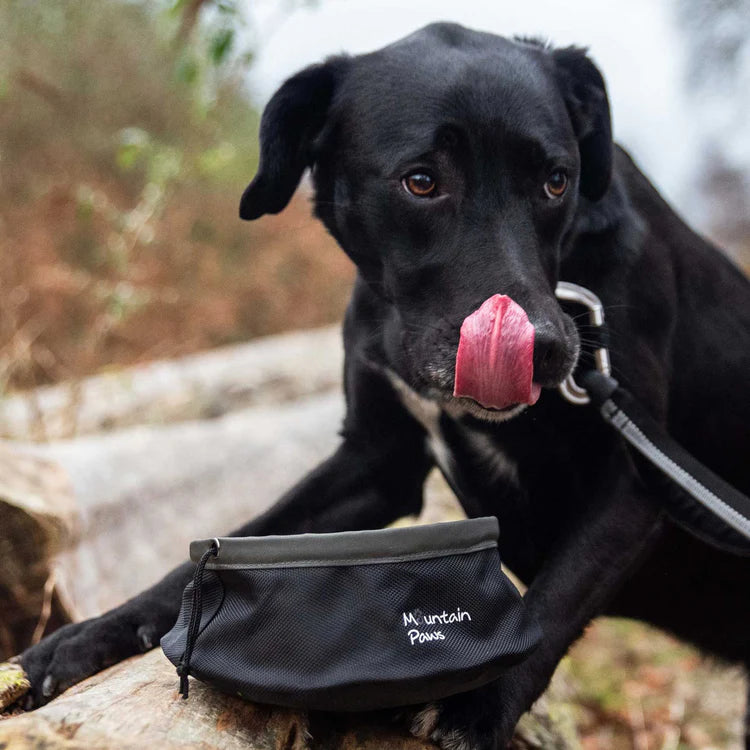 Mountain Paws Collapsible Dog Food Bowl #colour_black