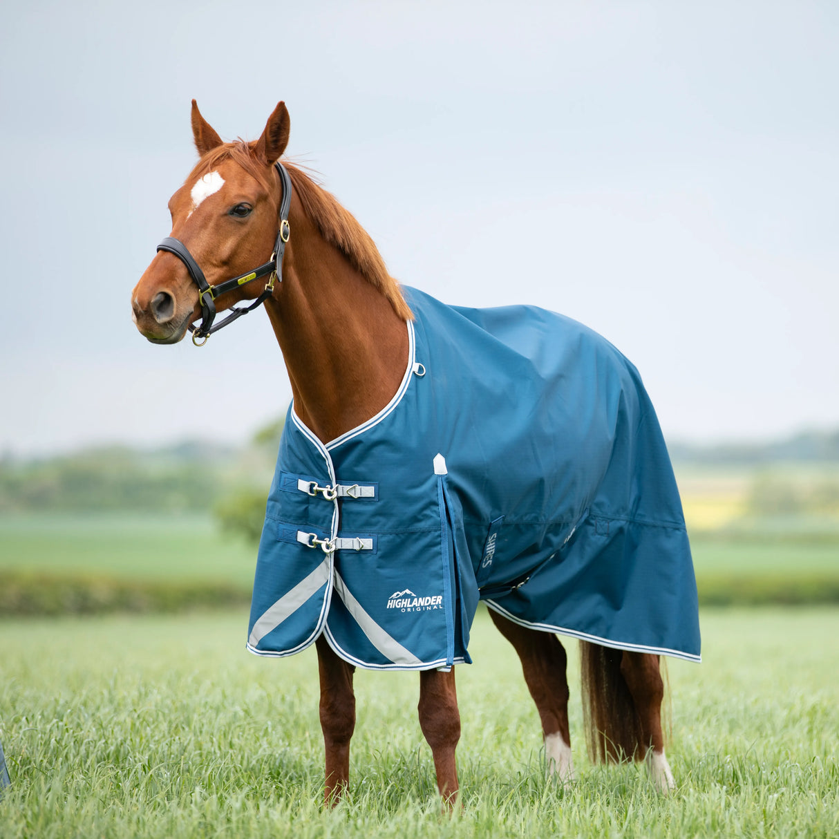 Shires Highlander Original 50g Turnout Rug