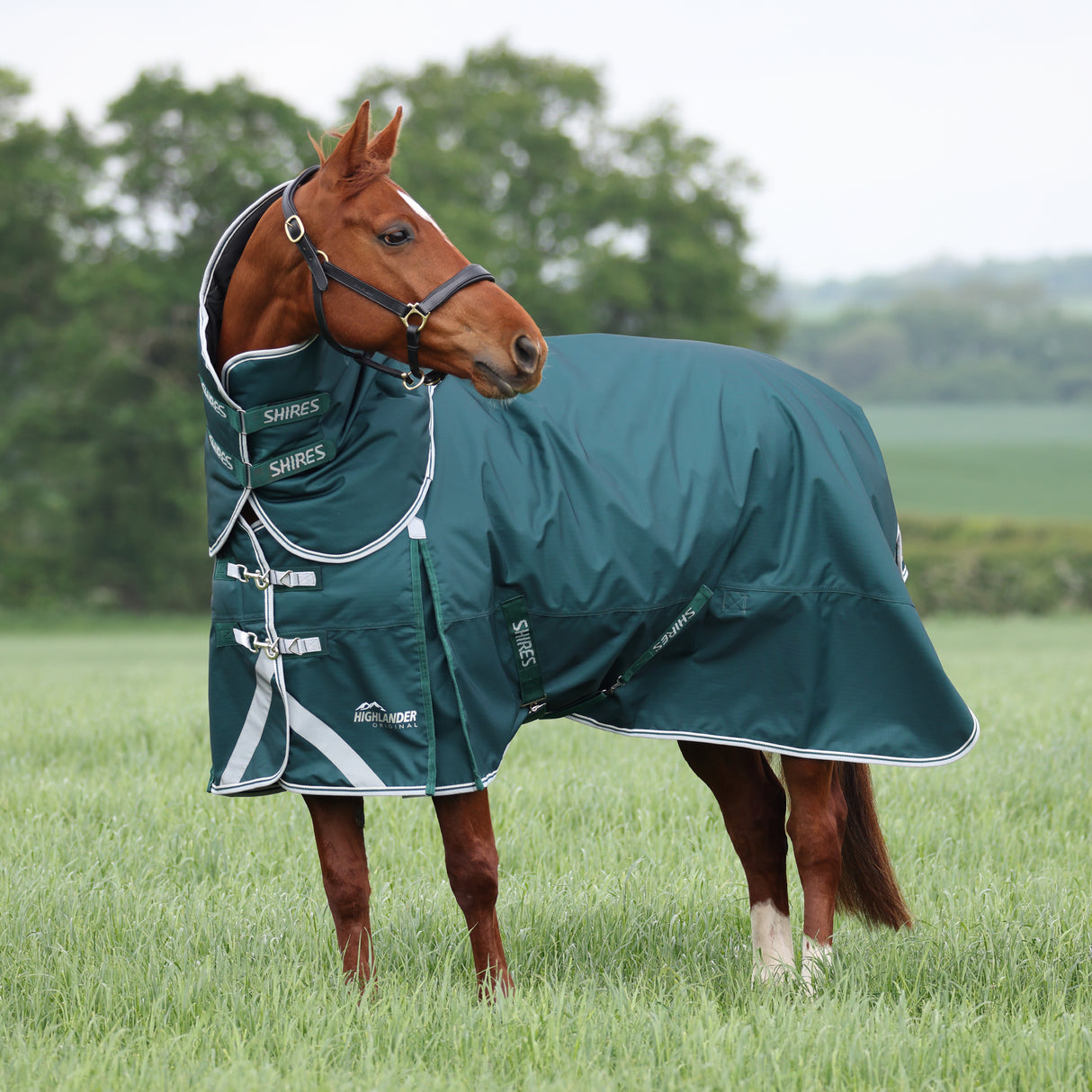 Shires Highlander Original 300g Turnout Rug & Neck #colour_green