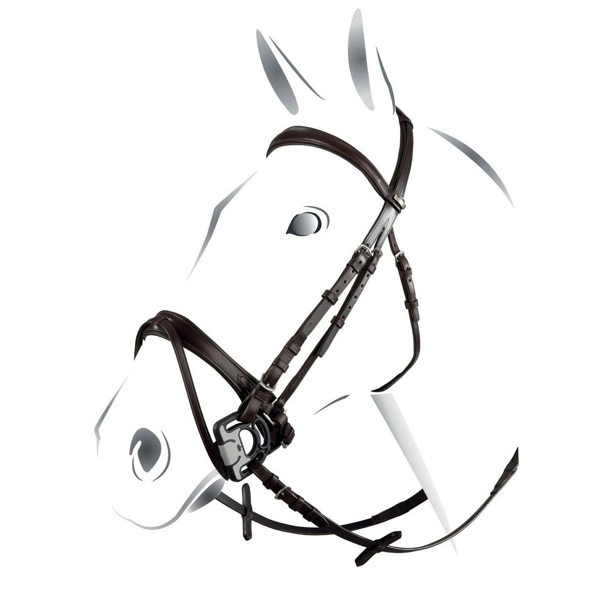 Equestro Jubilee Model Bridle