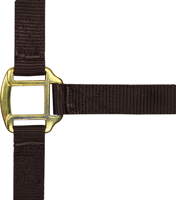 Norton Leather Lined Nylon Headcollar