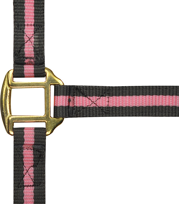 Norton Leather Lined Nylon Headcollar