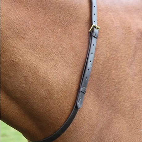 Shires ブレンハイムレザーネックストラップ