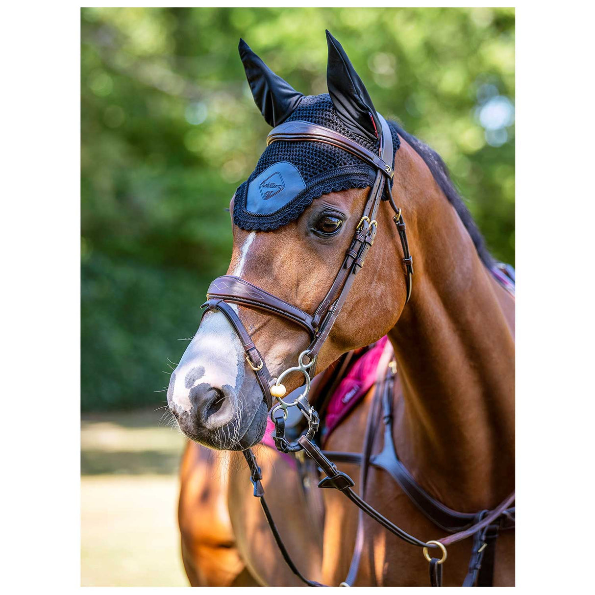 LeMieux Elite Fly Hood Black