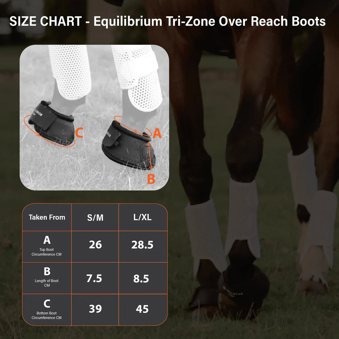 Bottes Equilibrium Tri-Zone Over Reach
