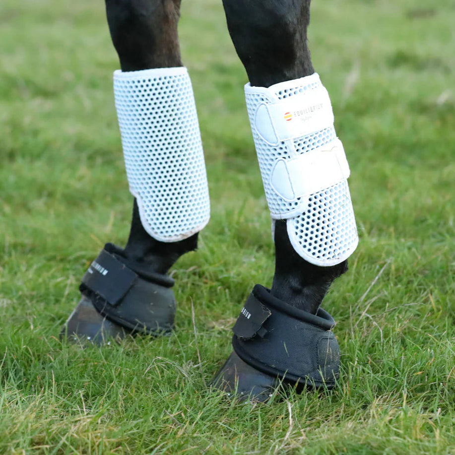 Bottes Equilibrium Tri-Zone Over Reach