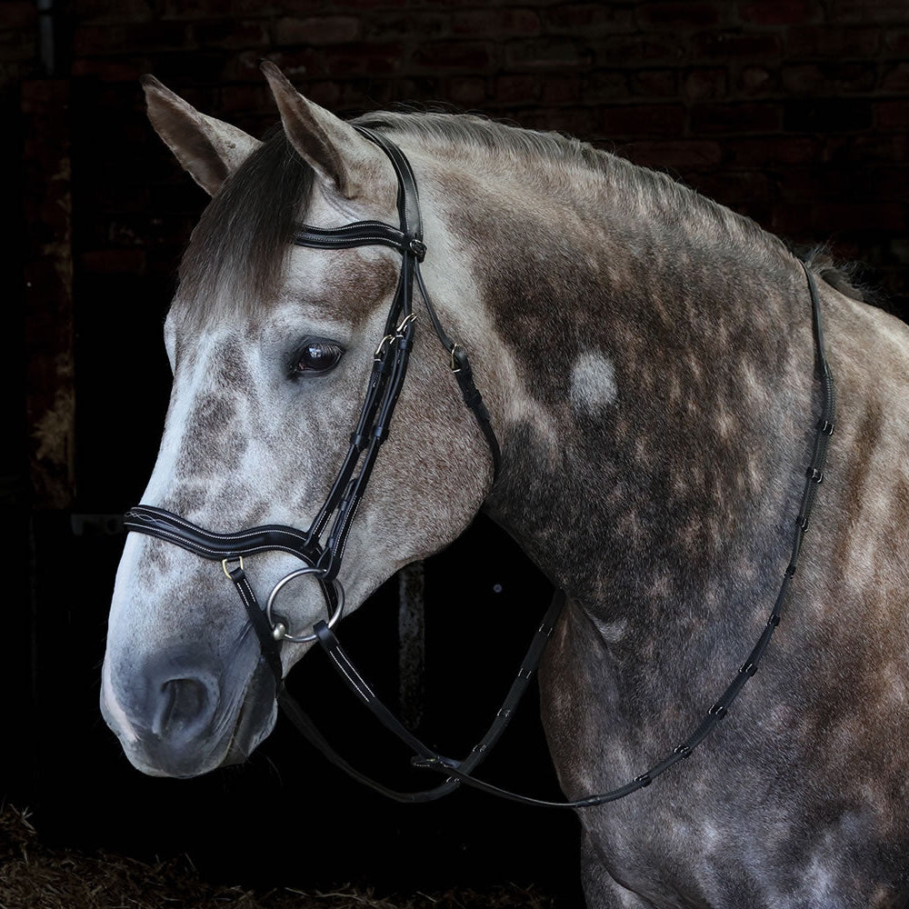 Whitaker Stockholm Anatomic Bridle #colour_black