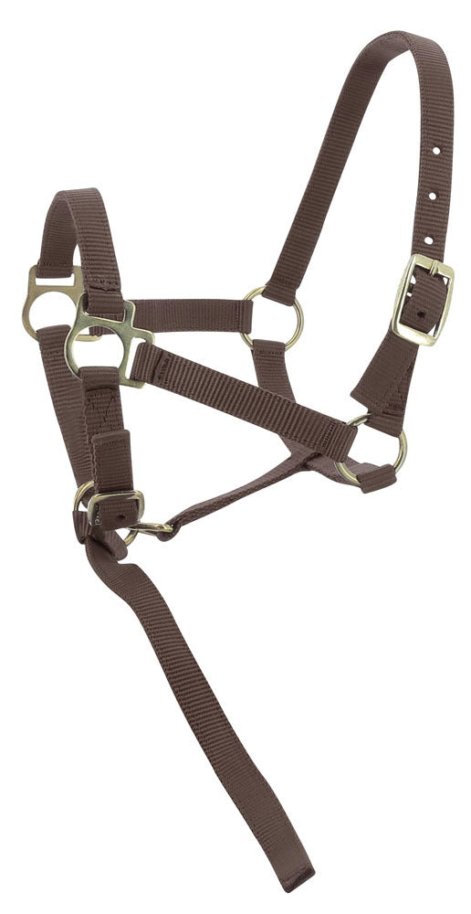 Norton Foal Headcollar Lead Rope