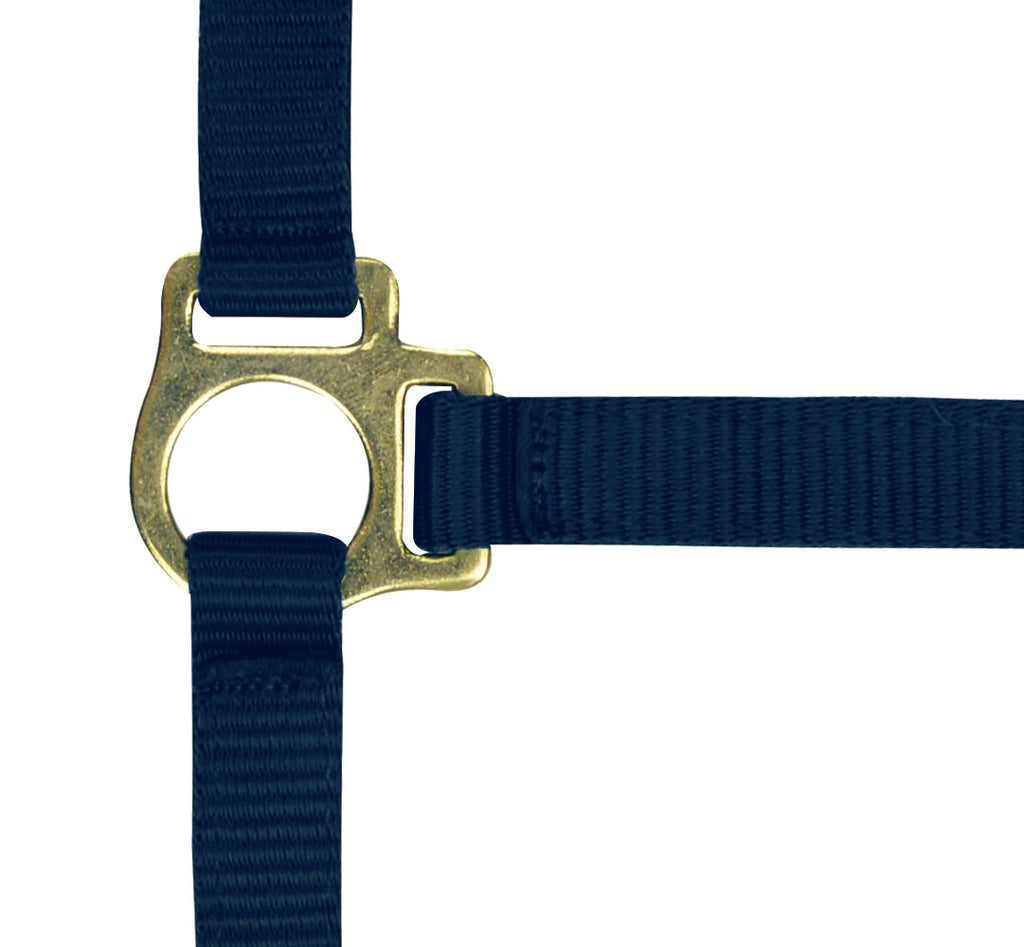 Norton Foal Headcollar Lead Rope