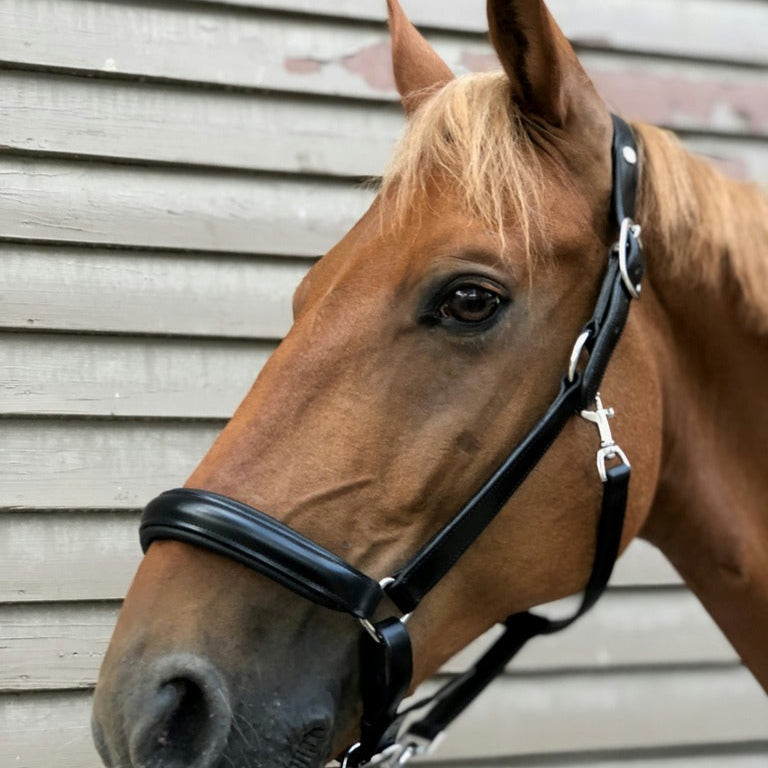 Norton Pro Anatomical Head Collar #colour_black