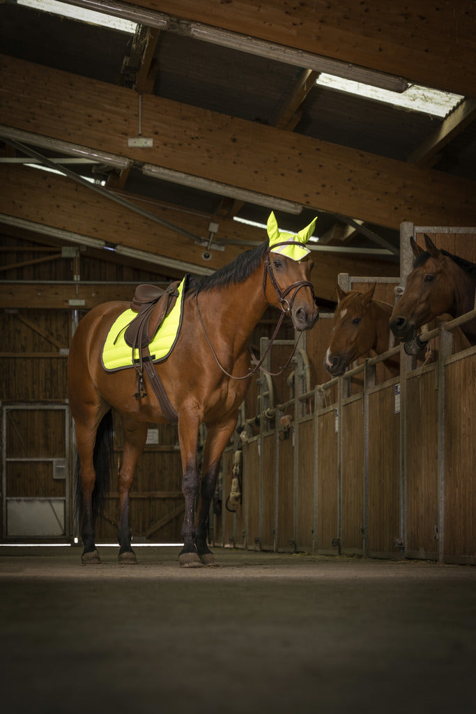 Equitheme High Visibility Saddle Cloth