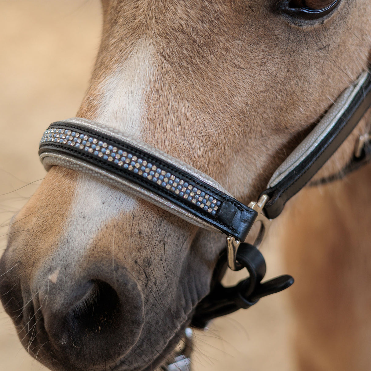 Imperial Riding Rainbow Headcollar #colour_latte