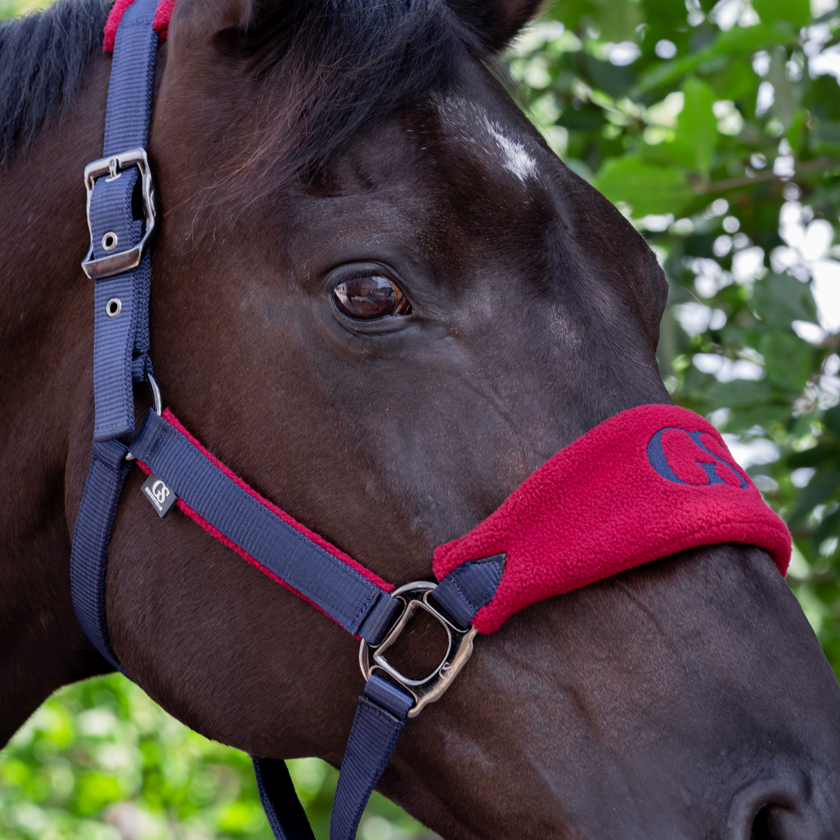 GS Equestrian & Country Headcollar & Lead Rope Set