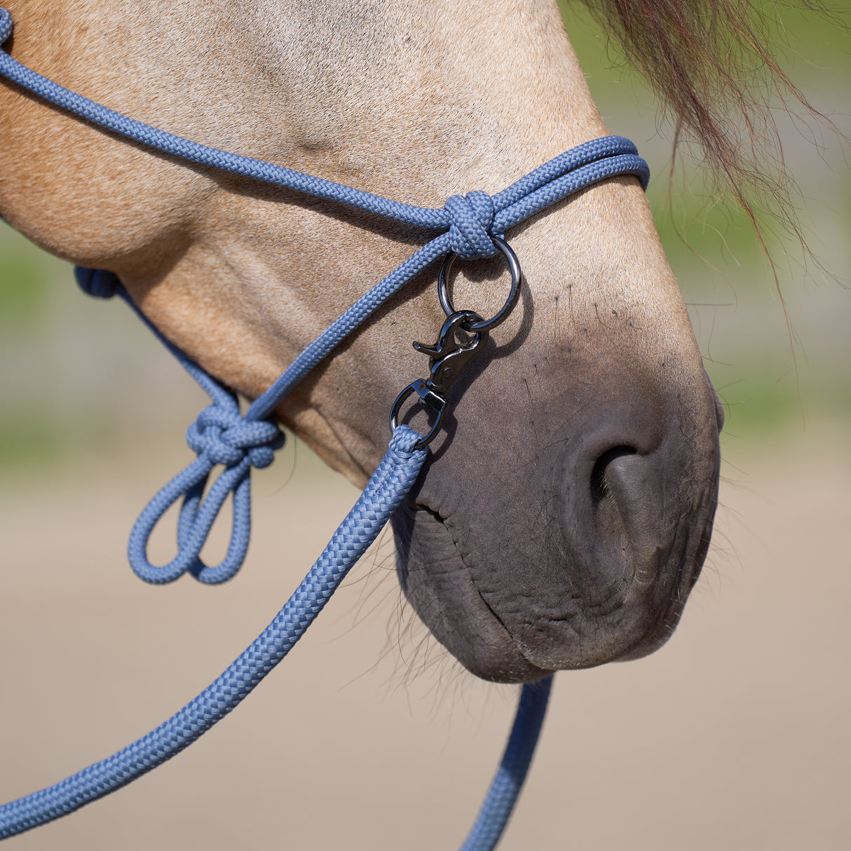 Imperial Riding Free Ride Rope Headcollar #colour_moonstone