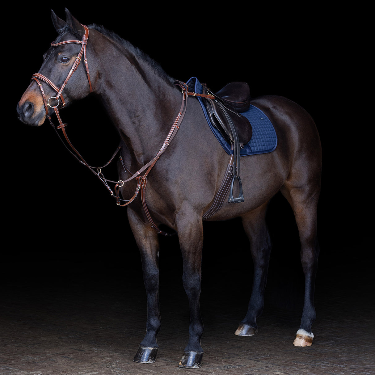 HV Polo Legacy Martingale #colour_brown