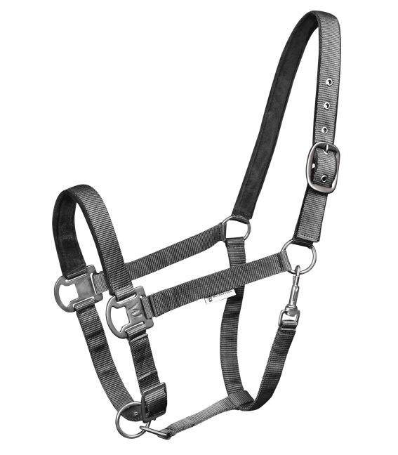 Waldhausen Gloomy Halter #colour_granite-grey