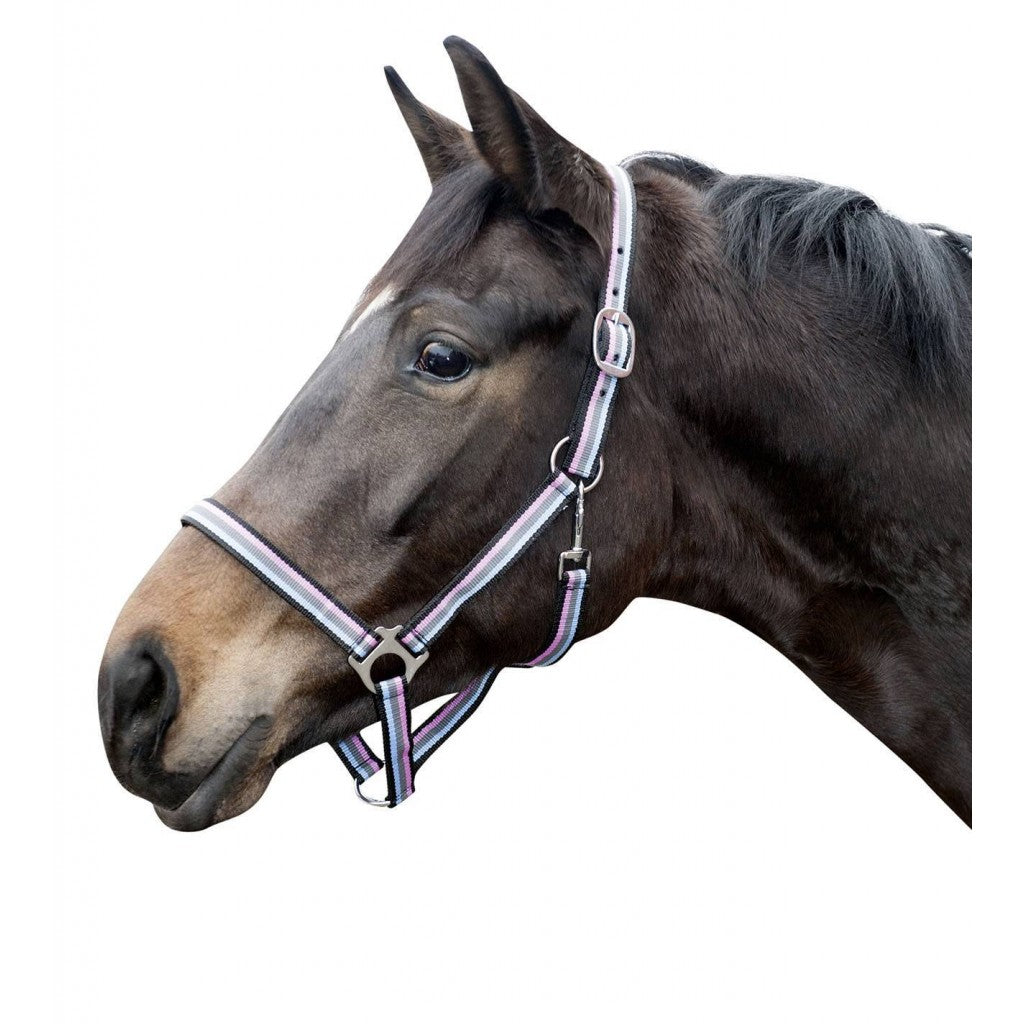 HKM Head Collar -Linz-