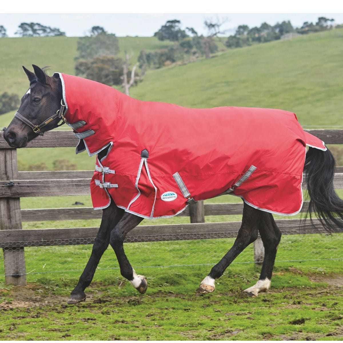 Weatherbeeta ComFiTec Classic Combo Neck Medium Turnout Rug #colour_red-silver-navy