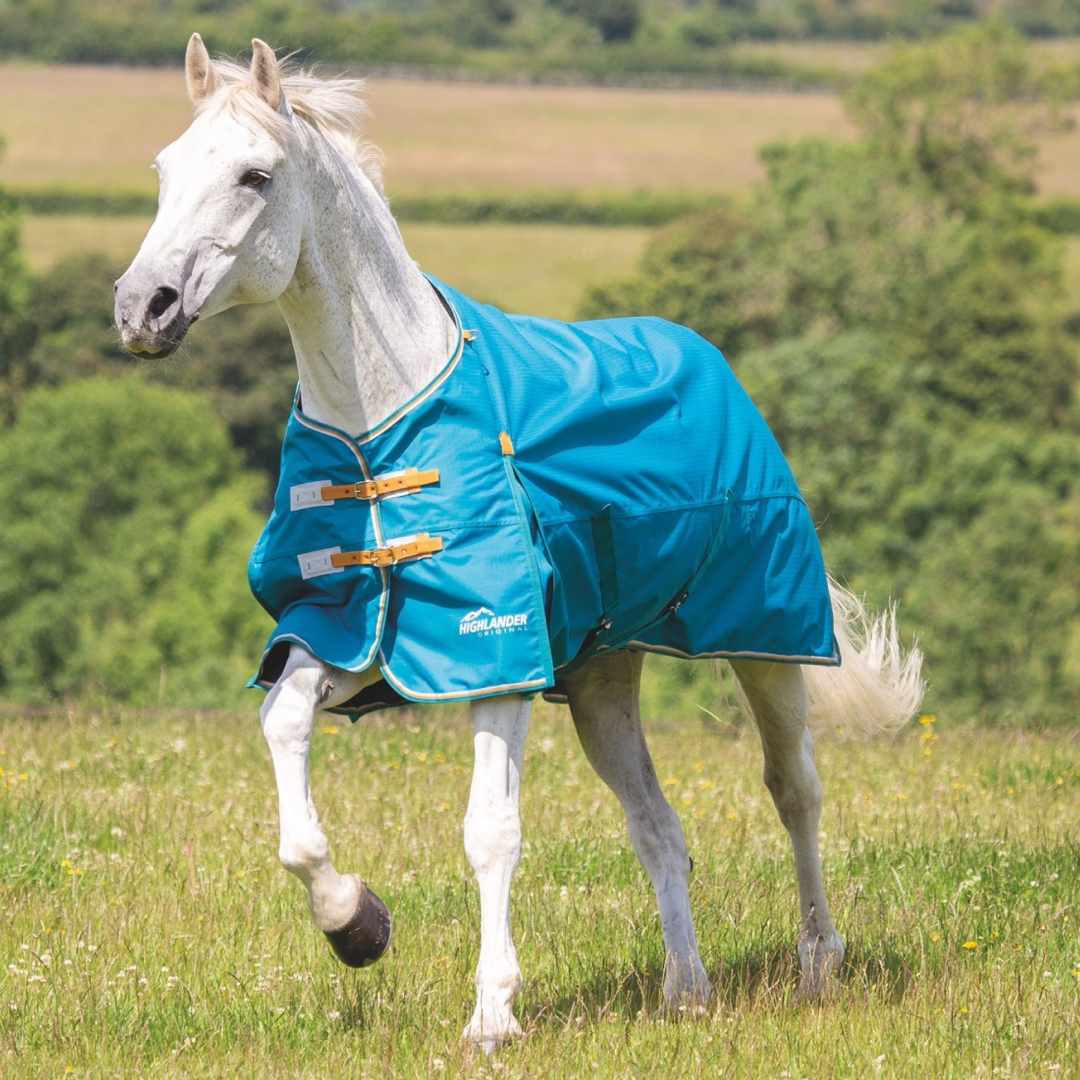 Shires Highlander Original Lite Turnout Rug #colour_teal