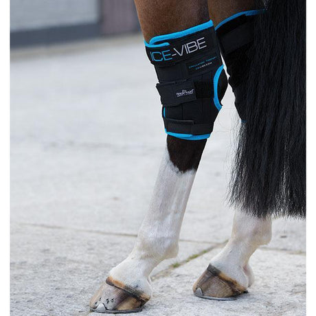 Horseware Ireland Ice-Vibe Jarret Wrap