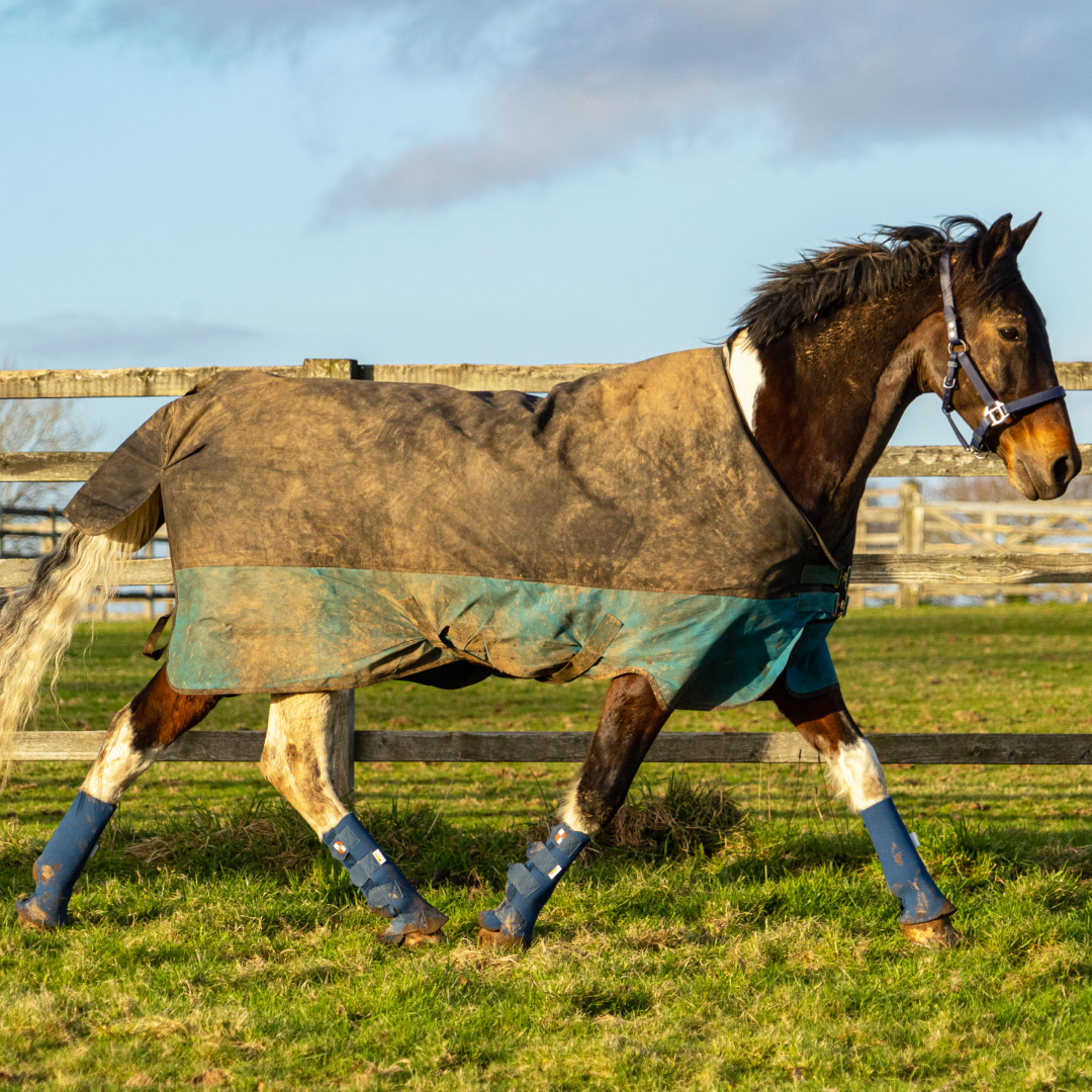 Equilibrium Equi-Chaps Hardy Chaps #colour_navy