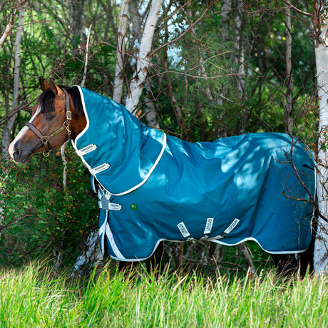Horseware Ireland Amigo AmECO Bravo 12 Plus 100g Turnout Rug