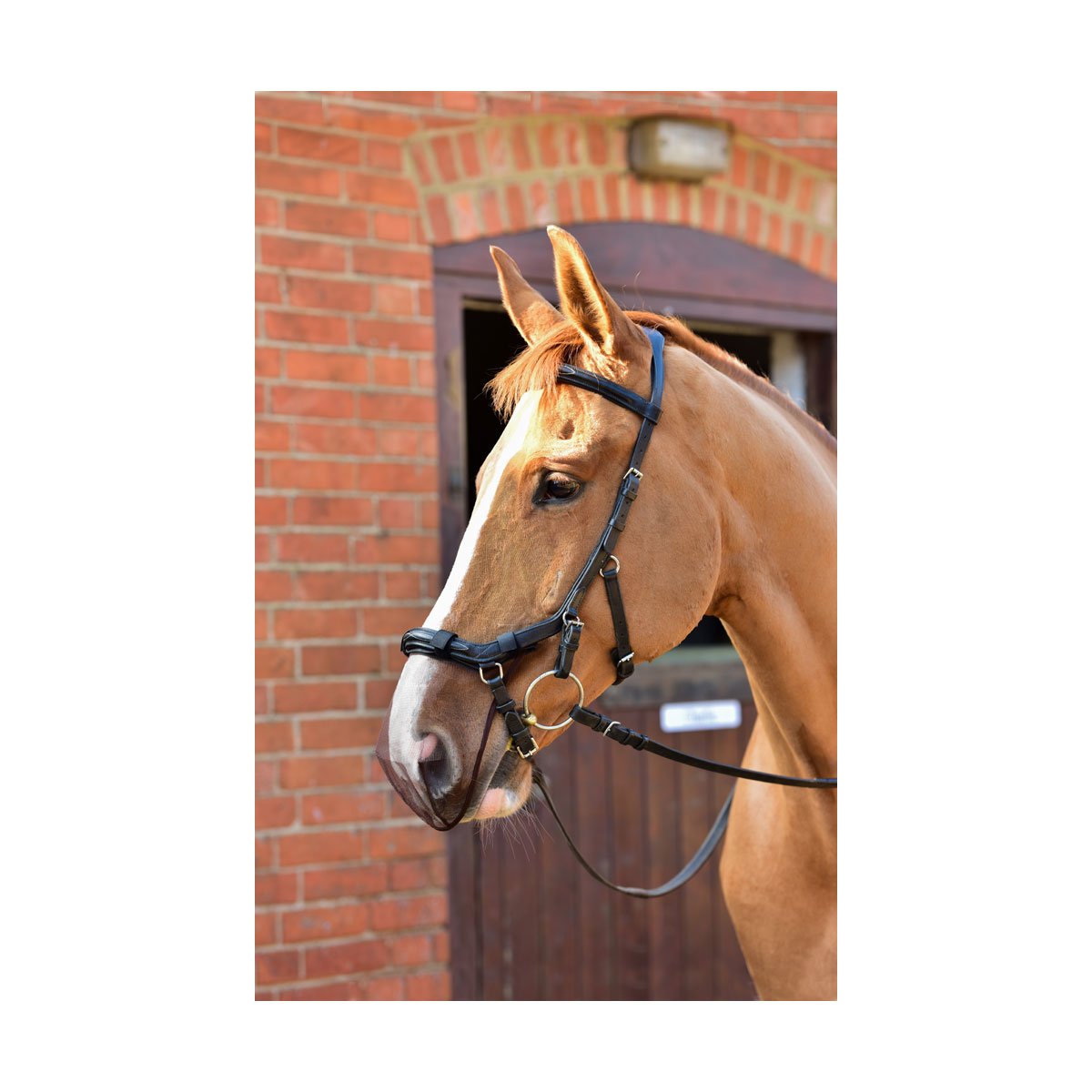 Filet de muselière Equilibrium Net Relief pour brides Micklem®