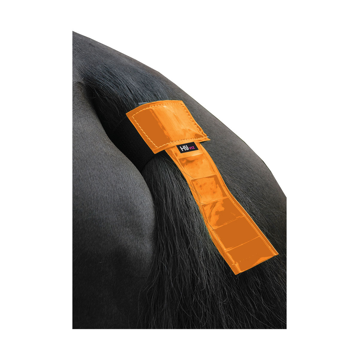 Hyviz Tail Band